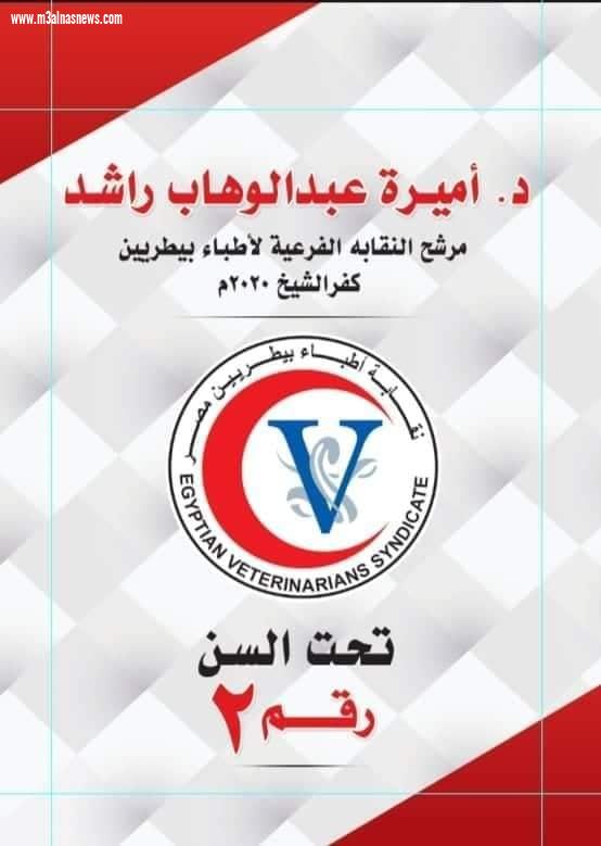 د. أميرة عبدالوهاب مرشح نقابة البيطريين.. هدفى نقابة قوية وتحقيق طموح الشباب